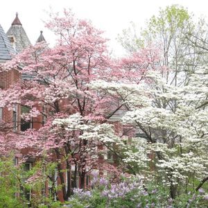 Meet your Posher, Sharon